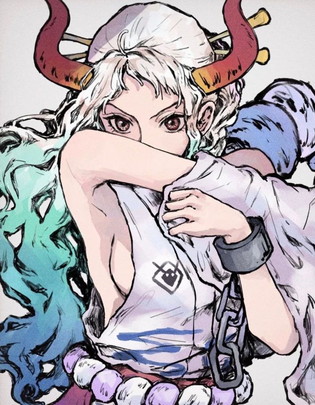 海贼王凯多手段,海贼王凯多失败后去了哪里