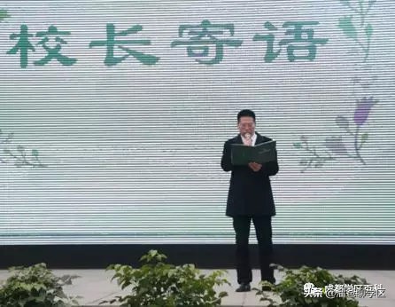 大源片区小学排名,高新区大源片区学校排名