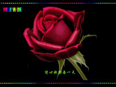 早上好周一快乐问候,早上好喜鹊报喜全家平安