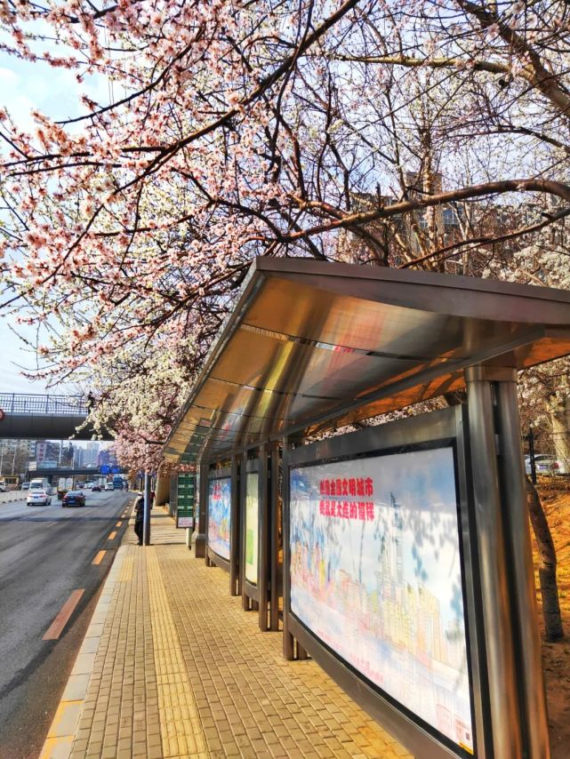 大连游玩街区,大连旅游街区推荐名单