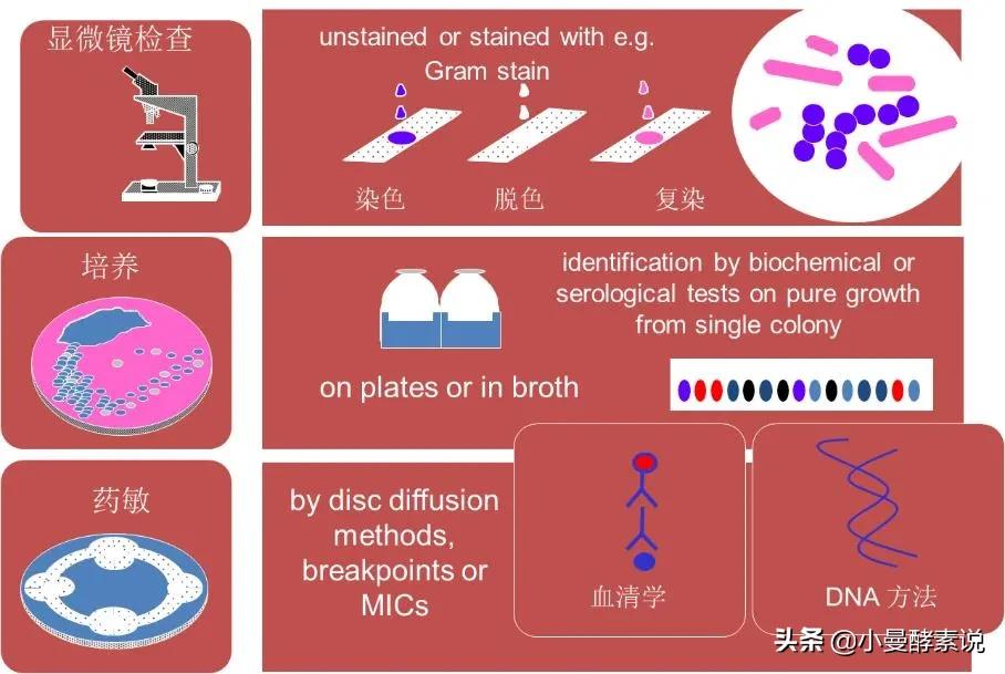 微生物鉴定的质谱技术有哪些,自动化微生物常用鉴定技术