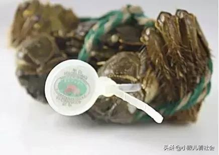 阳澄湖大闸蟹99元30只直播团购,阳澄湖大闸蟹99元包邮