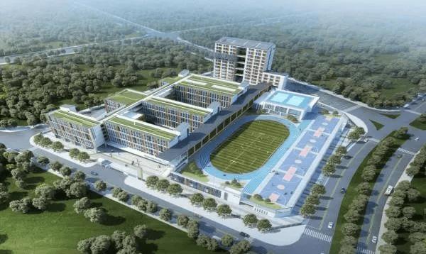 深圳最难进的学校,深圳最难进的五大学校