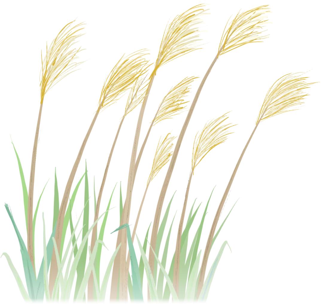 梦起远华，心向远方——我校举行2020秋季学生表彰大会