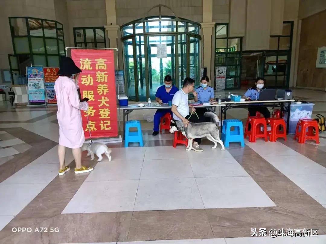 铲屎官请注意文明养犬妙招看这里,铲屎官养狗必看知识