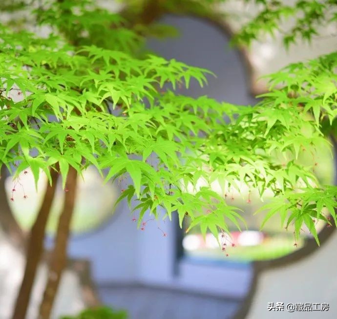 转瞬夏将至,转眼夏日已尽