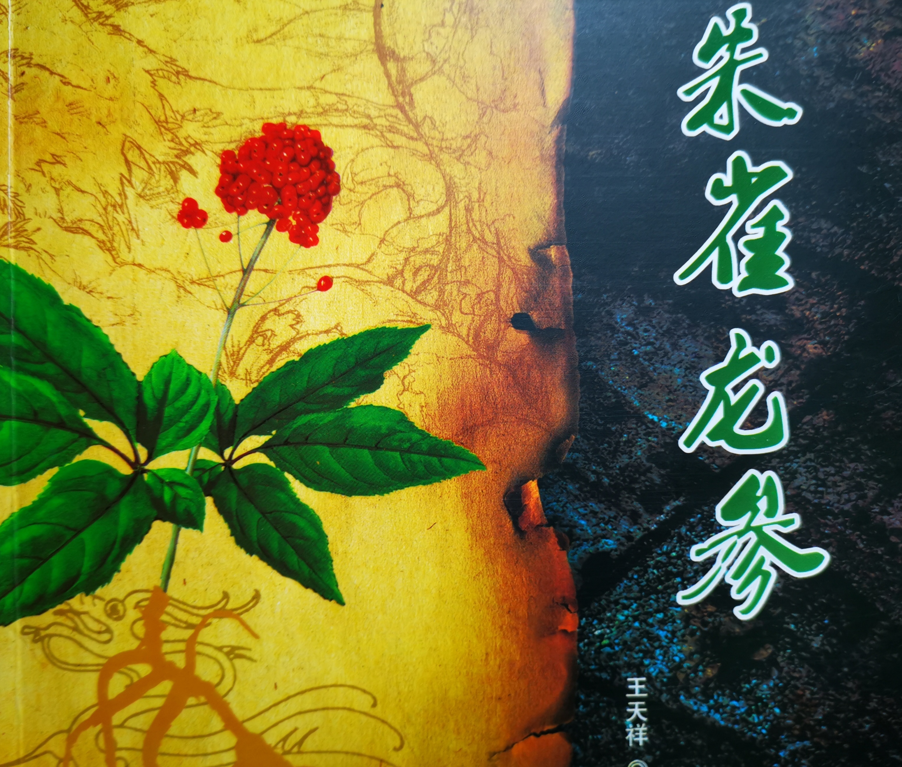 吉林朱雀山里有什么,吉林朱雀山皇家庄园的秘密