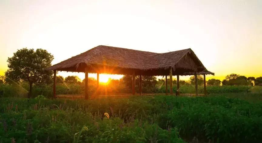 上海十佳乡村旅游优选地，第二批市民休闲好去处，侬去过几处？