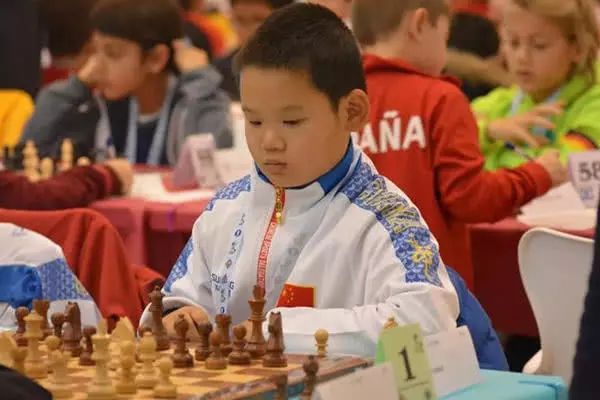 国际象棋棋手排名和背后的故事,国际象棋总结