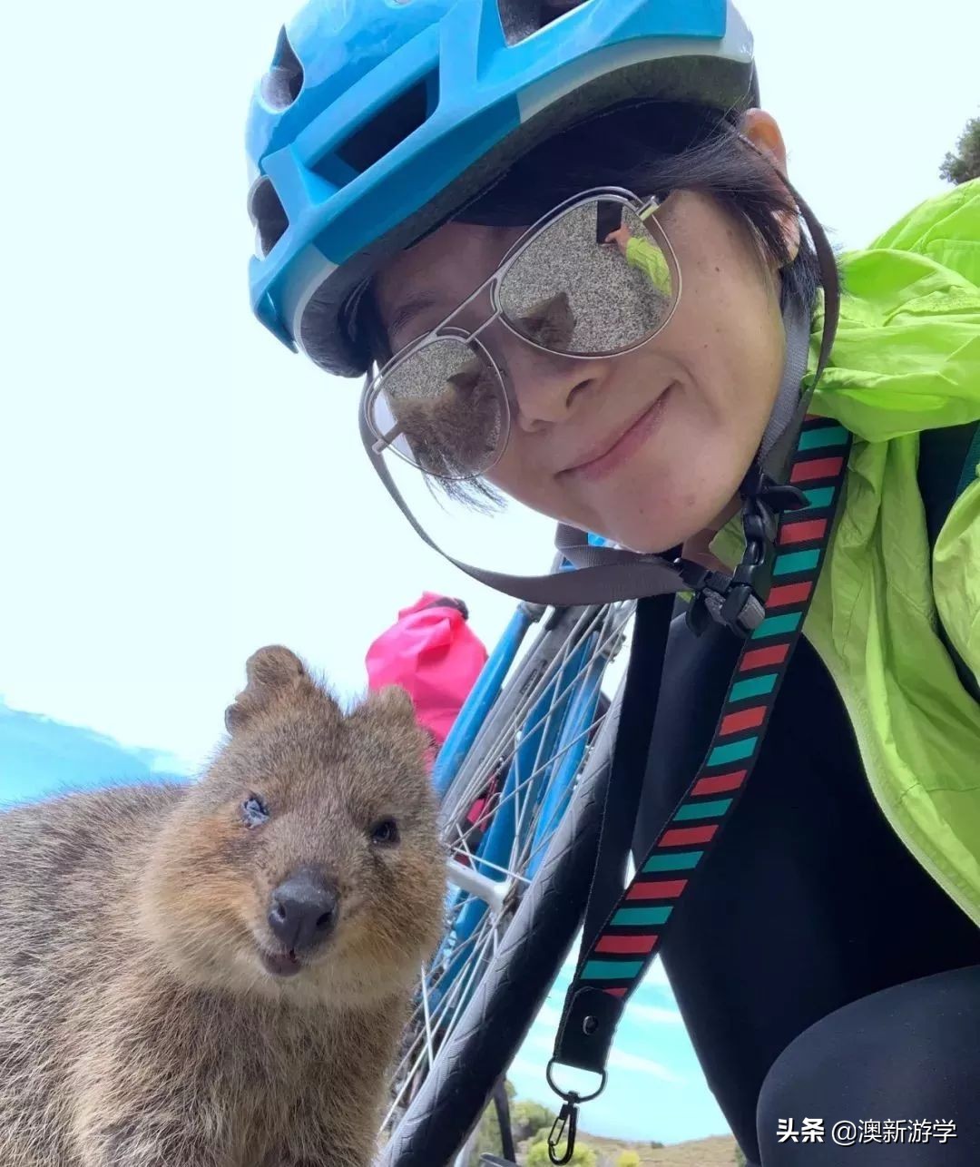 澳洲游学满载而归,澳洲亲子游学日程安排