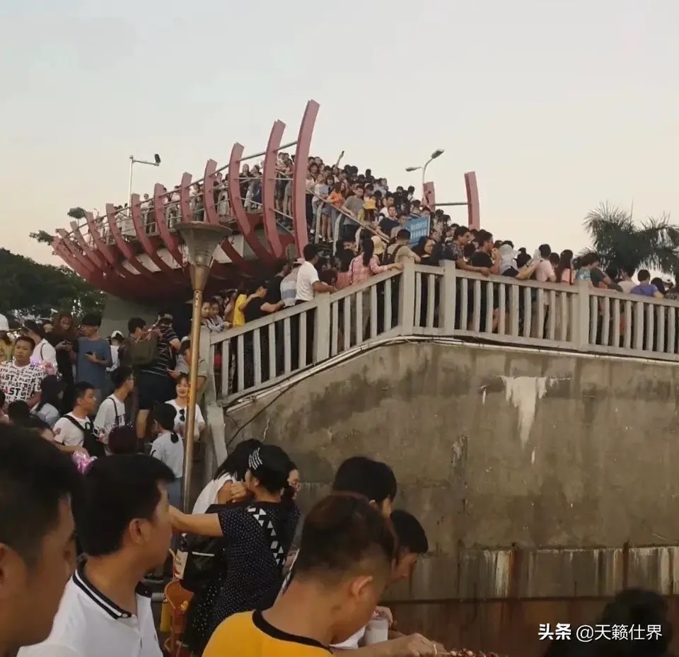 园博园旅行年卡 (旅游年卡 园博园)