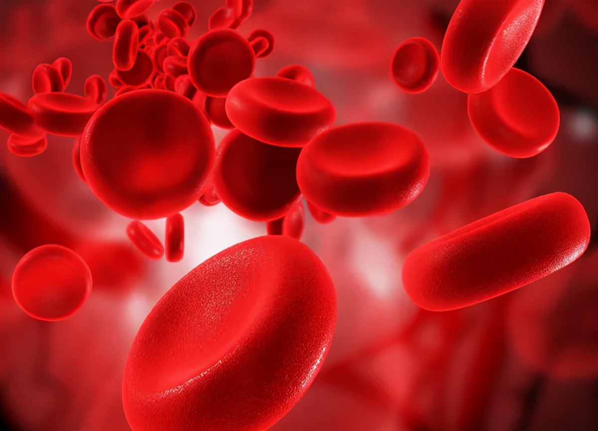 猫咪便便有血是什么原因,猫咪拉血尿是怎么回事