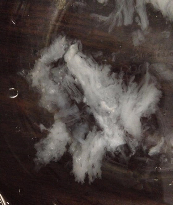 真假燕窝的快速鉴别方法,燕窝造假现场