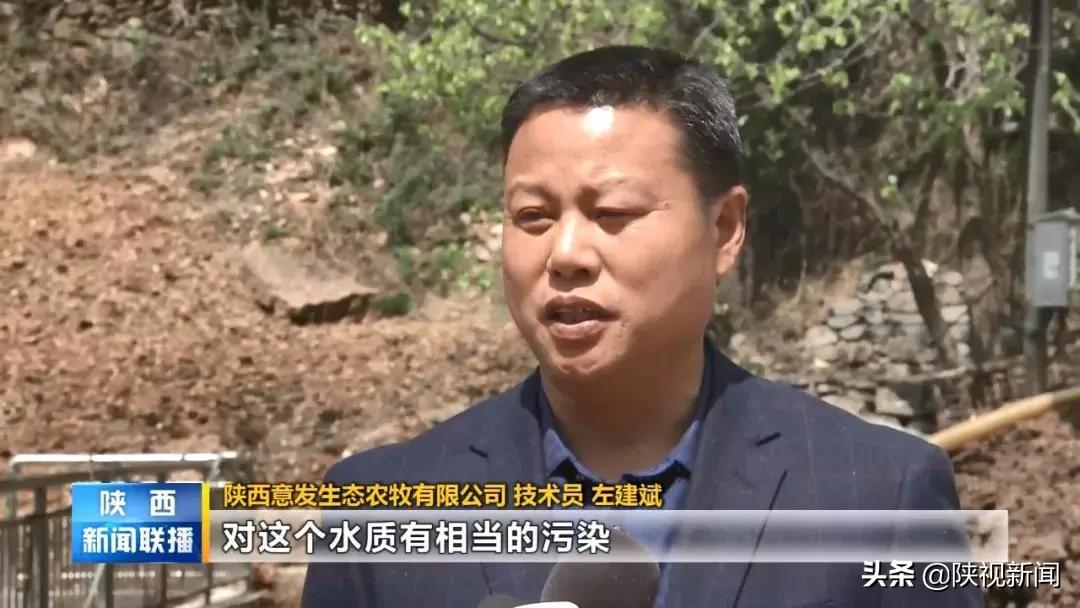 商洛山阳县这帮人对牛粪做了啥?竟比纯养牛多挣了10倍!