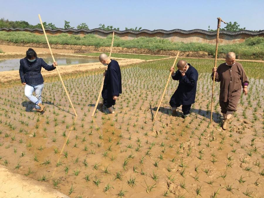 抢抓农时开展农业生产,农民纷纷抢抓春耕生产有利时机