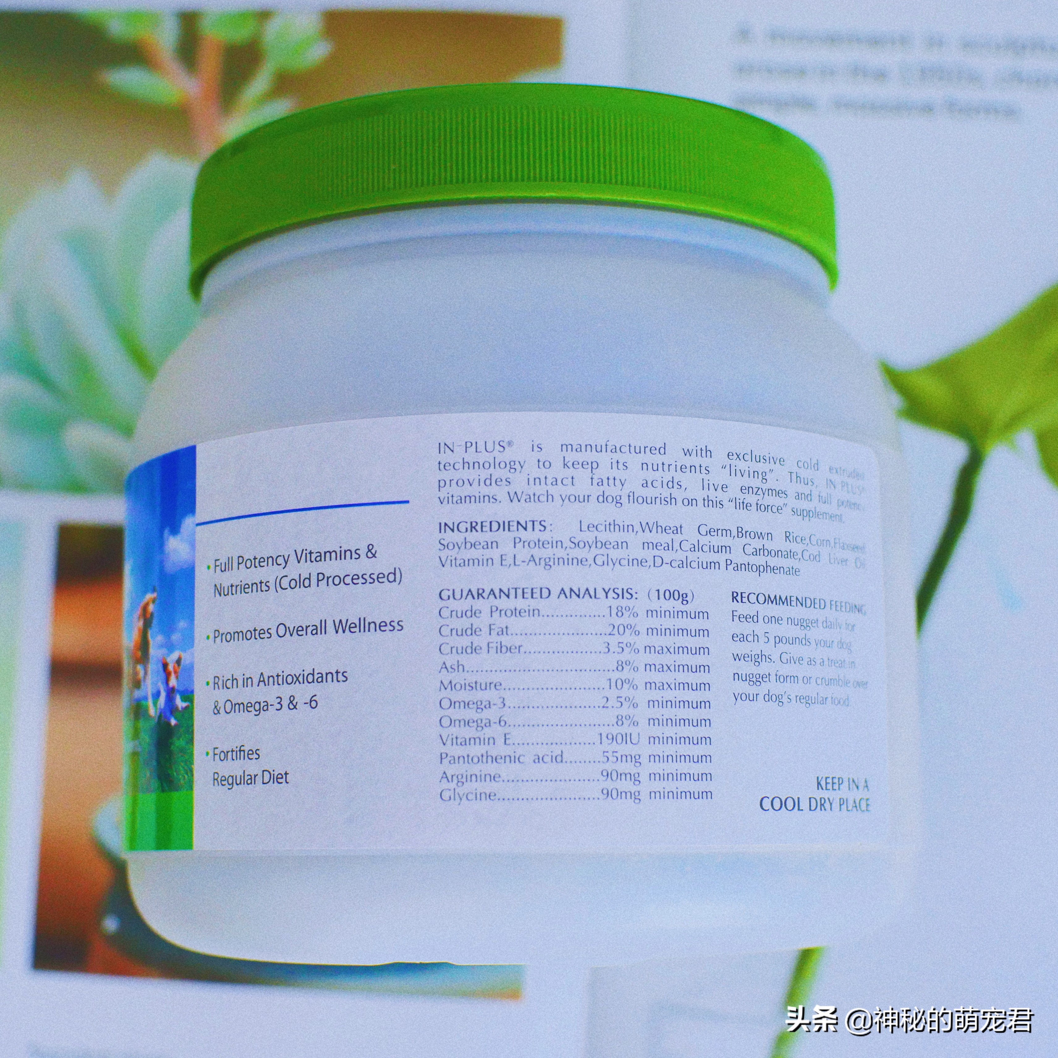 狗狗麦德氏卵磷脂,狗狗麦德氏卵磷脂一天吃多少粒