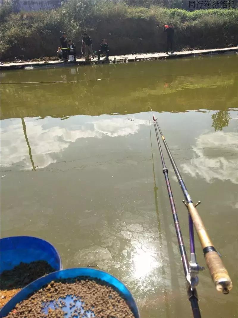 钓鱼笔记30个视频,钓鱼笔记最新视频