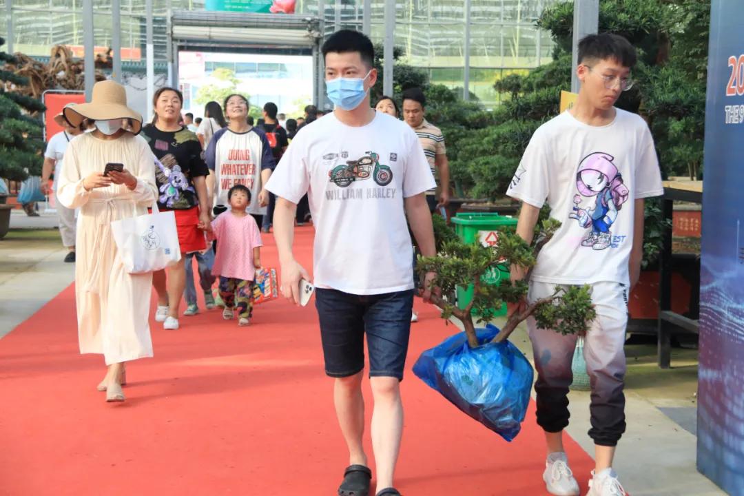 花木盆景活动,秋冬季花木节盆景展