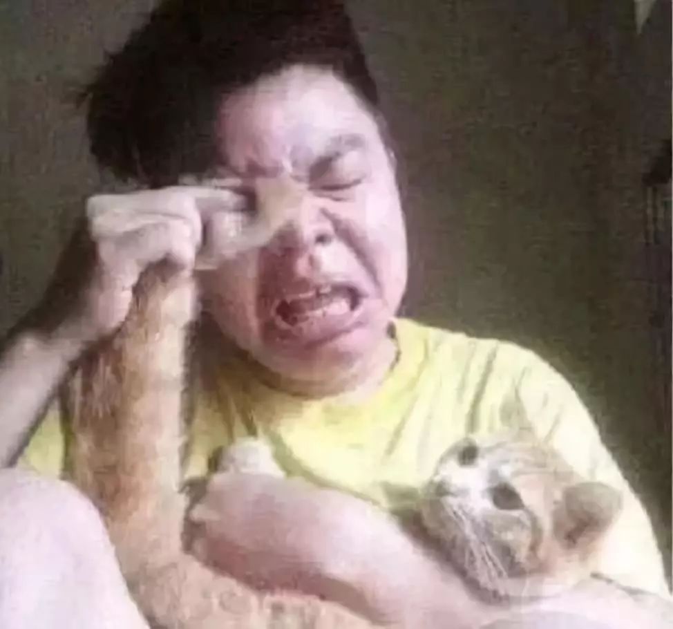 表情包大*杀屠**法案通过，以后还能鸡你太美吗？