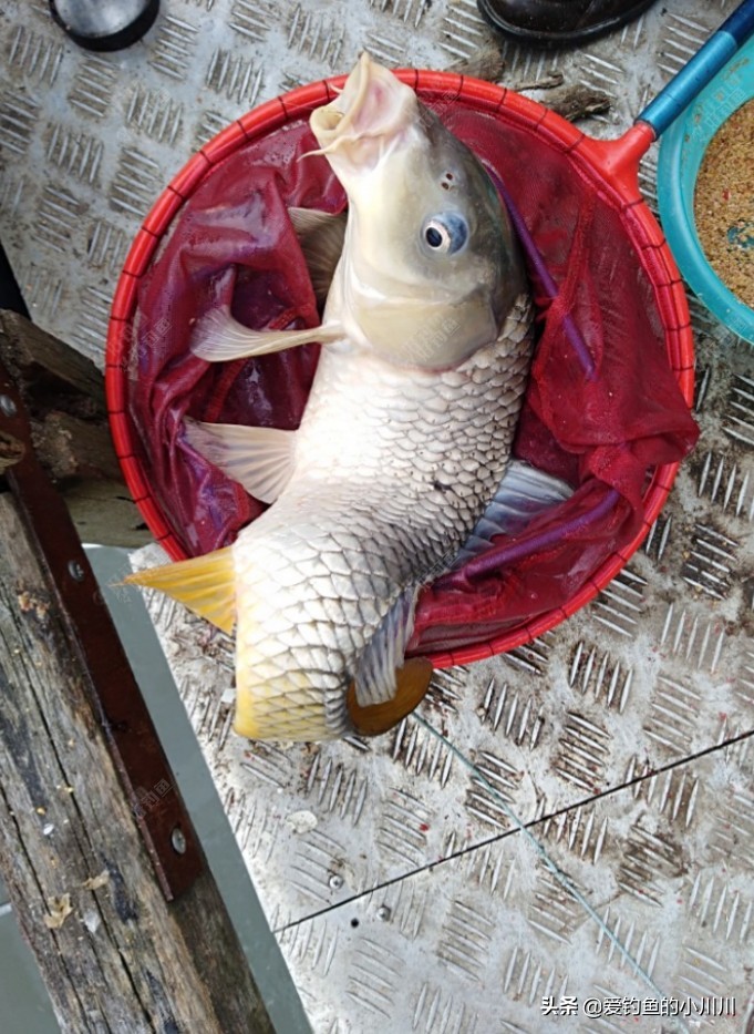 聊下找口与抓口的问题个人见解