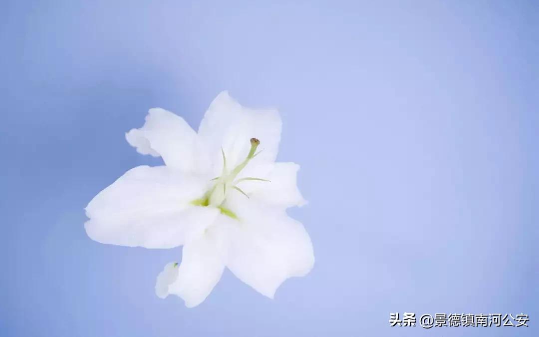 愿你过得好的诗词,苦尽甘来不负年华不负卿什么意思