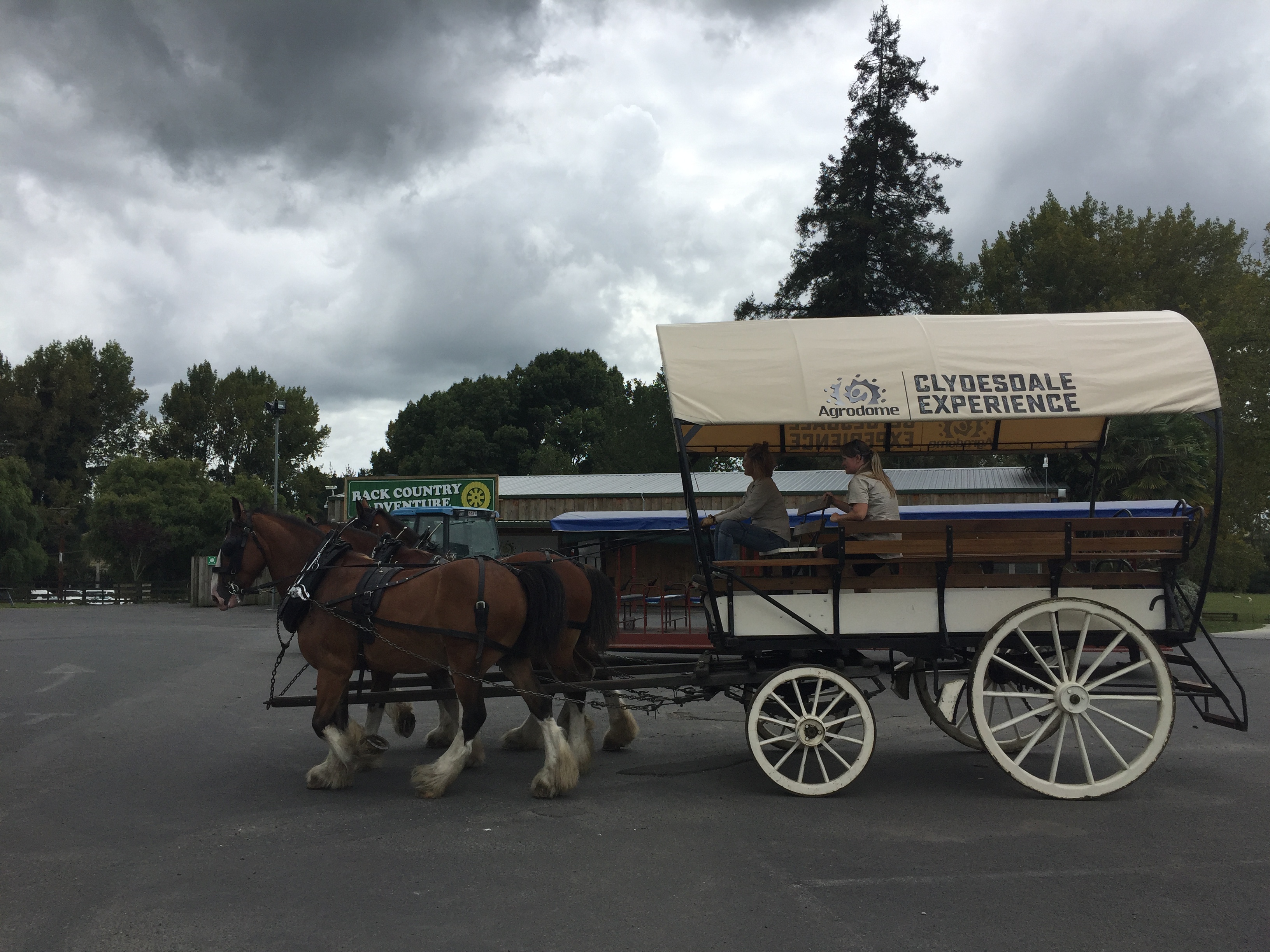 新西兰天然农场,成都新西兰牧场