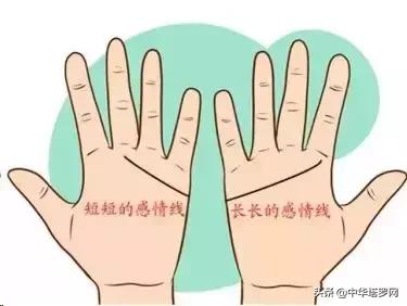 手相之感情线揭露感情的秘密,手相感情线大全图