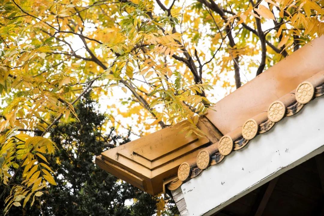 关于读书的诗词经典名句,读书经典诗词名句大全简短