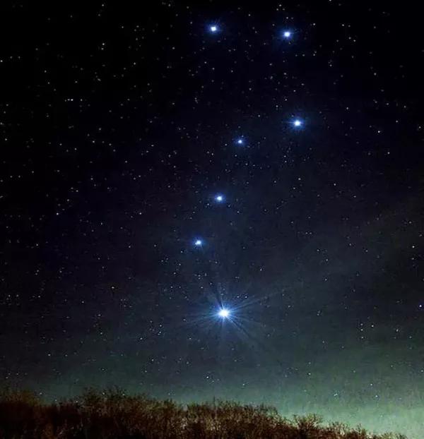 大自然的规律和启示,大自然的预知能力