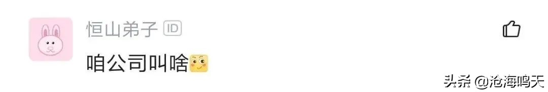 国企程序员都做什么的呀,国企程序员都做什么工作