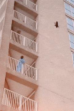 兄弟发型搞笑gif,搞笑男生发型gif