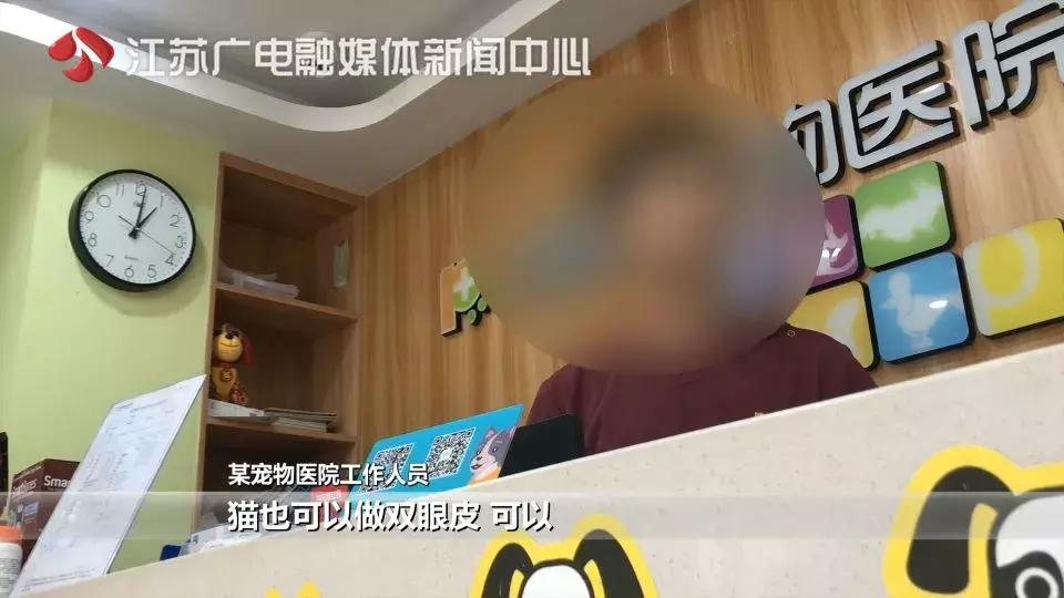 花一万元给猫割双眼皮,医生辟谣给猫割双眼皮