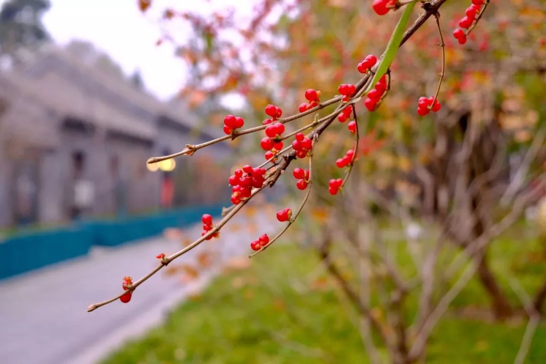 最值得去的小众打卡地,北京小众打卡地荣耀的绝美山顶