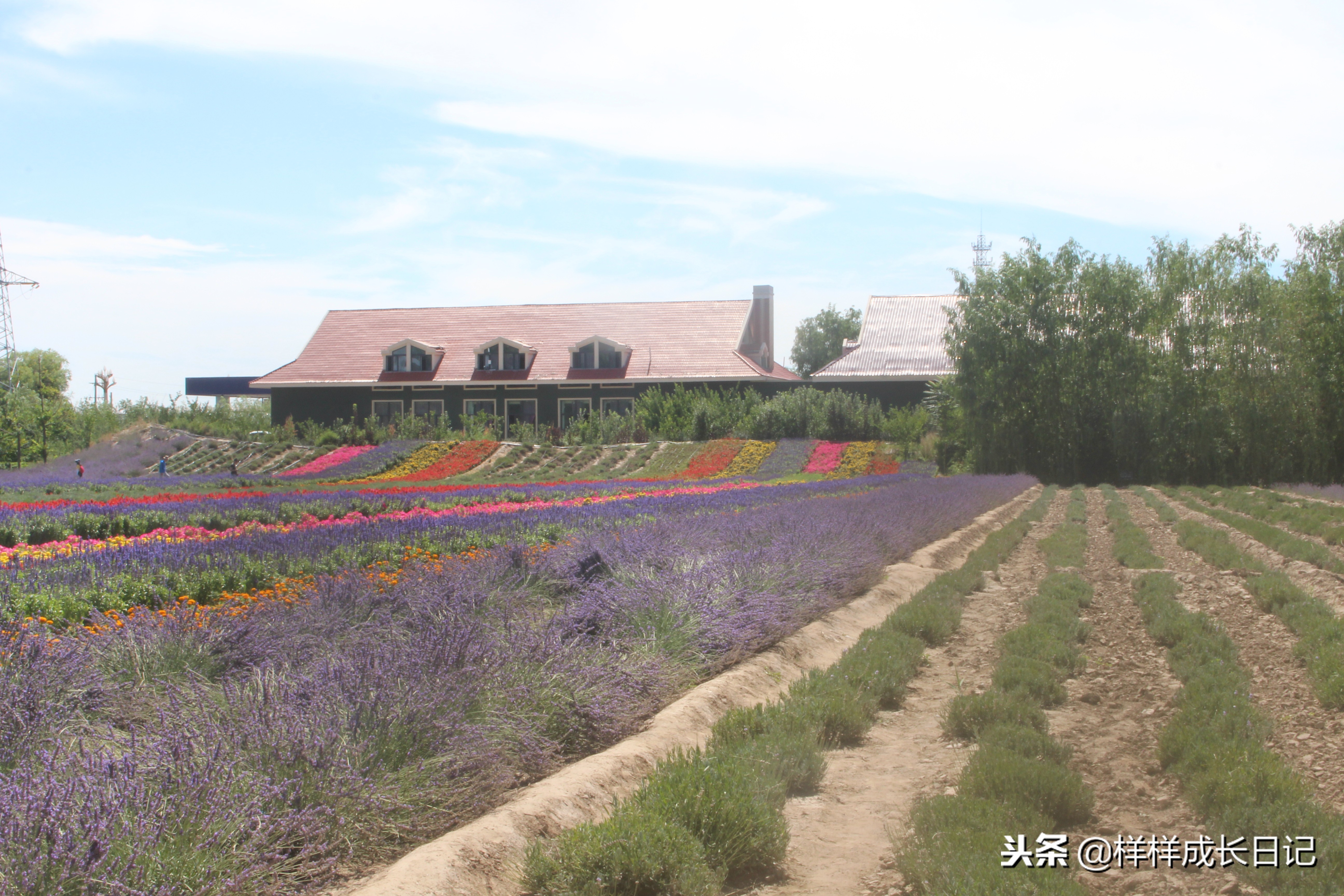 一家三口新疆伊犁旅游,自驾游霍尔果斯路线攻略