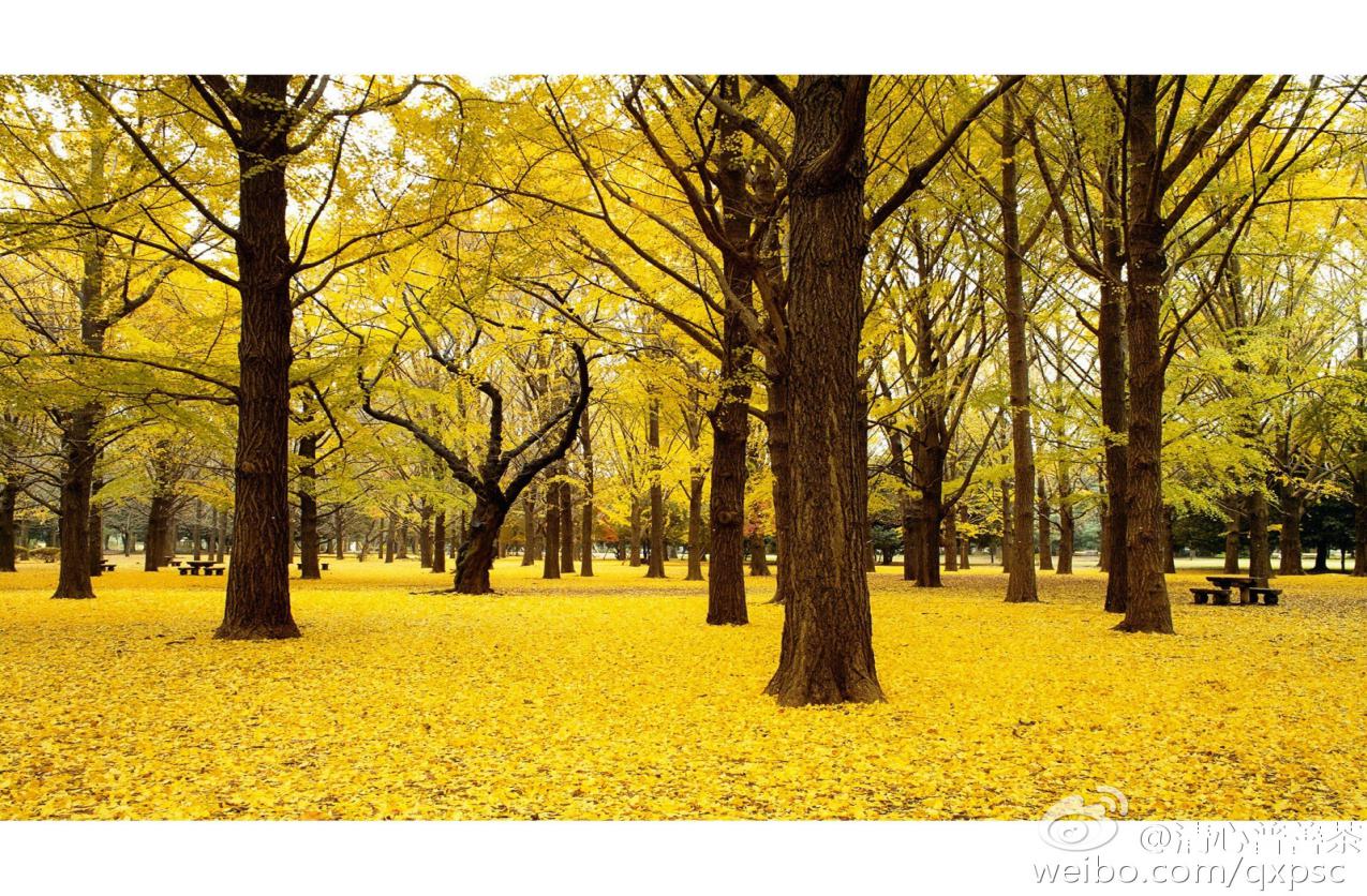 时间都去哪了?碎片化学习帮你加持