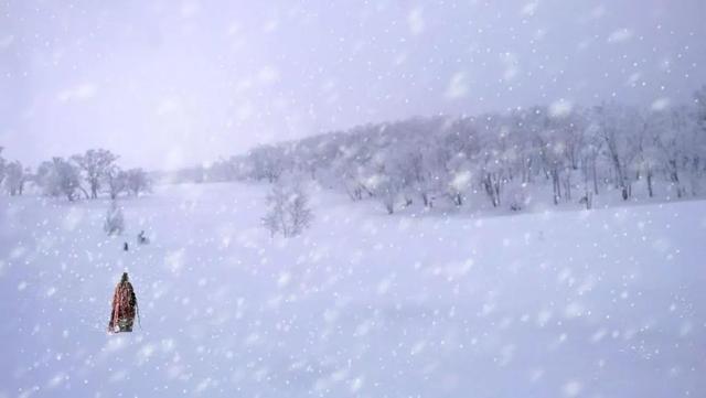 红楼梦的贾府是怎么衰落的,红楼梦的贾府因何衰败没落