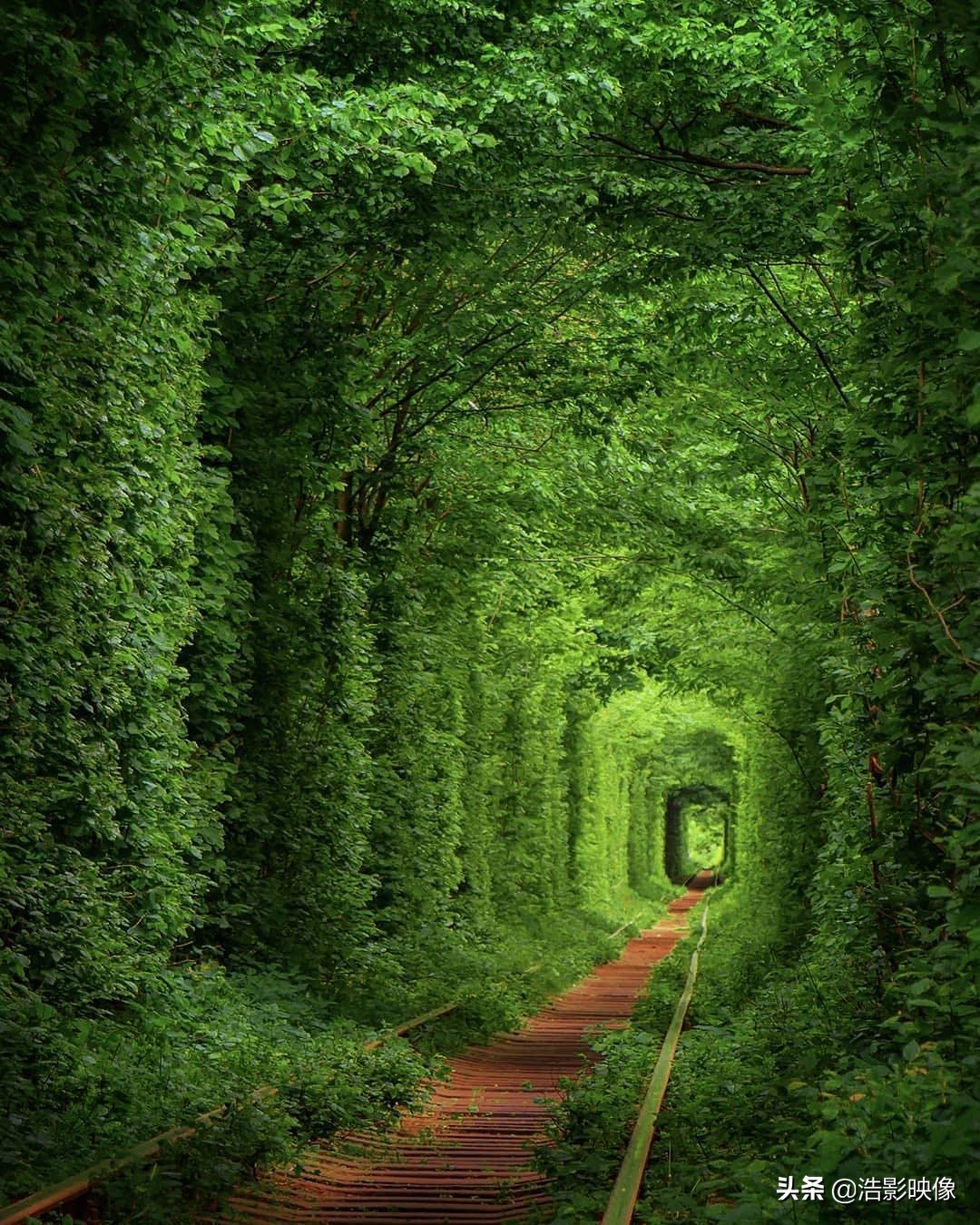 数字变焦和光学变焦倍数一样吗,光学变焦和数码变焦的相同之处