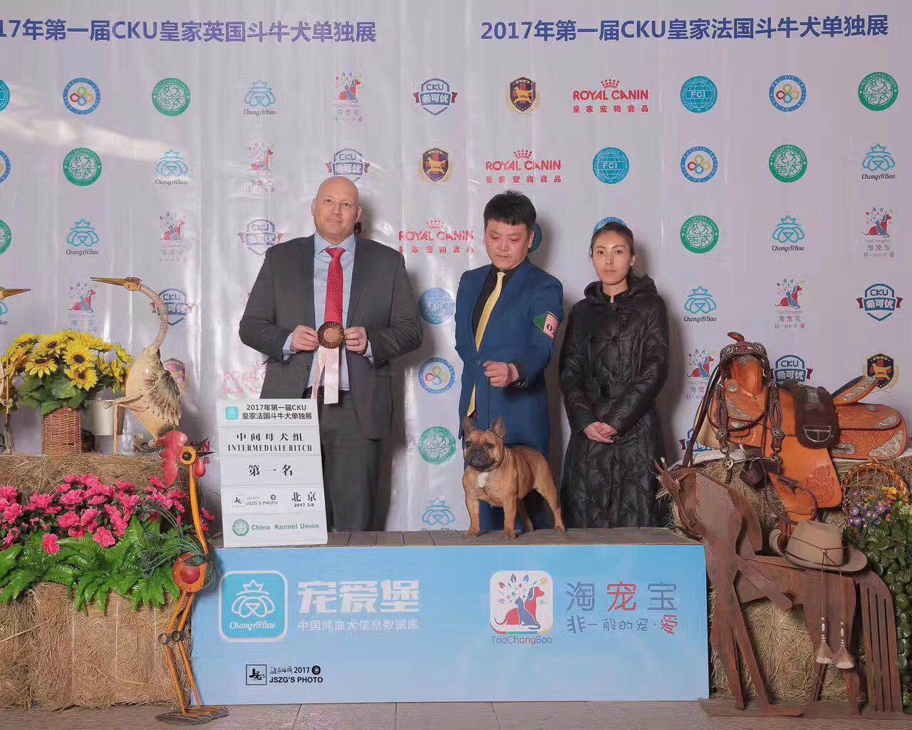 中国法斗犬舍,中国知名法斗犬舍