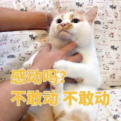 来实习的第一天,来实习一个月了还是什么都不会