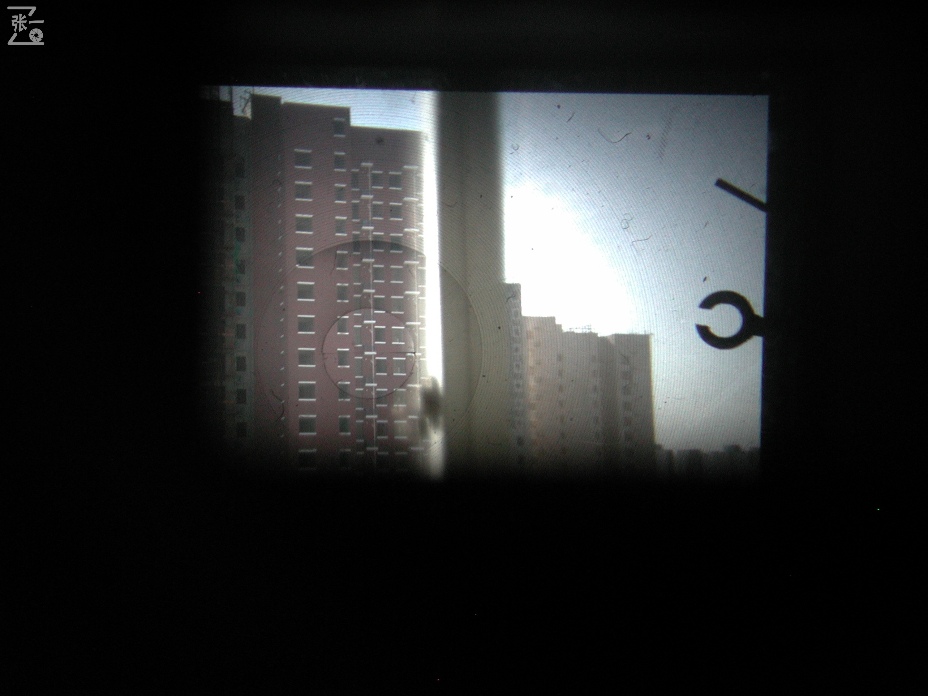 miranda鍗曞弽,miranda鐩告満