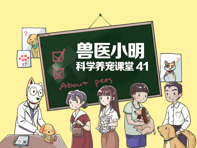 捏后颈、贴芝士、画圈圈，这些猫咪封印术居然都是有科学依据的？