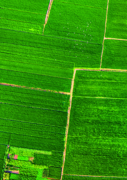 靖江是一座什么样的城市,靖江是被长江环绕的城市