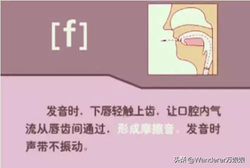 英语48个音标发音附详细图解,音标发音48个正确发音讲解视频