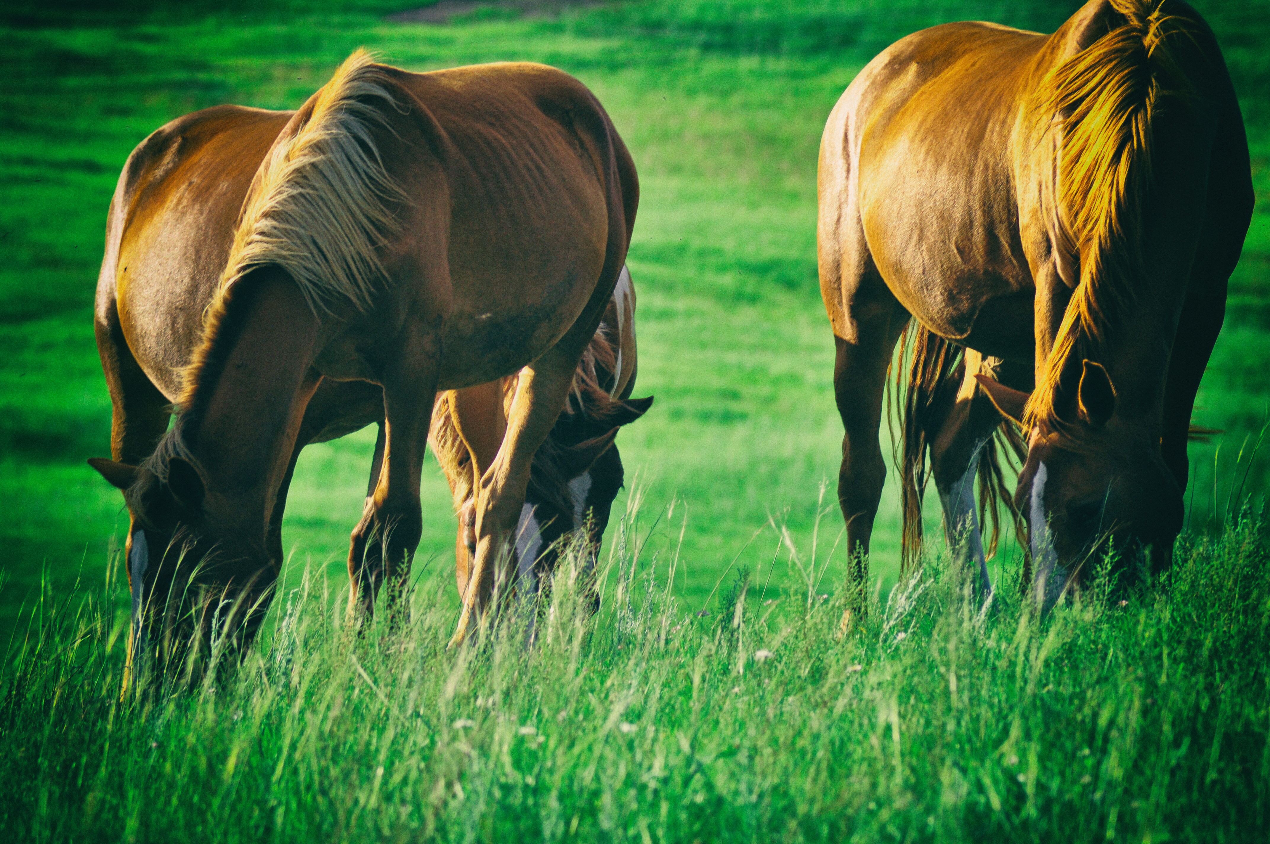 东北边疆,东北行游记2019