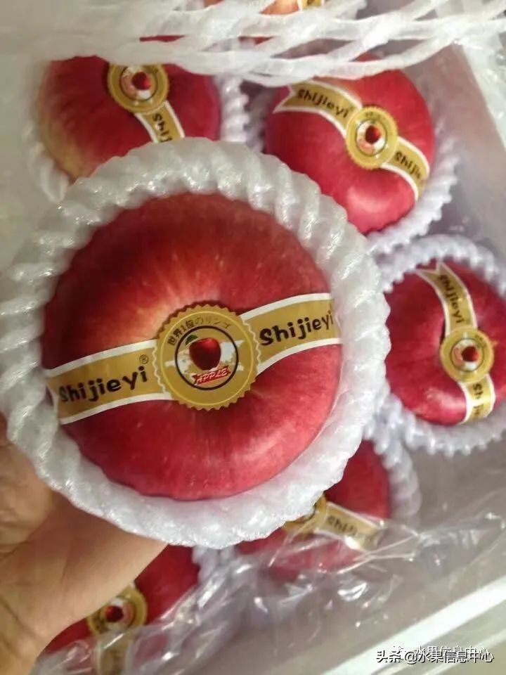 国内最好的苹果品种排行榜前十名,响富苹果和元富红苹果哪个品种好