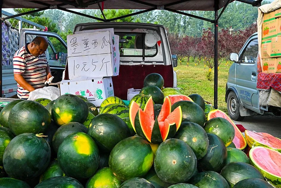 满满的烟火气逛大集真好玩,最值得逛的大集