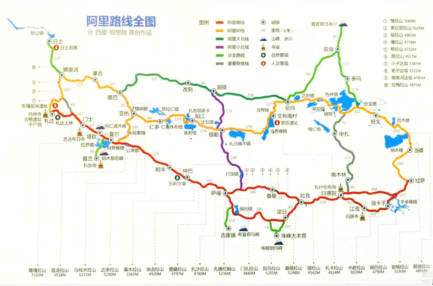 阿里无人区野狼出没,阿里无人区狐狸