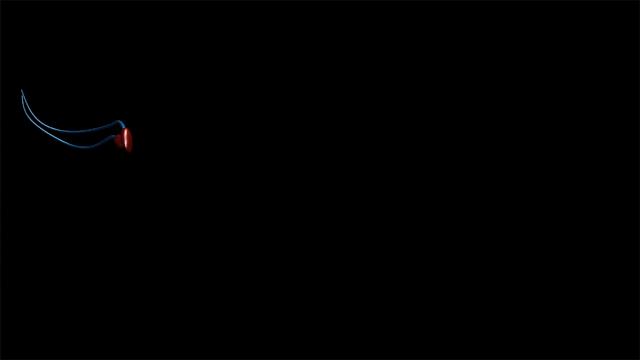 揭穿科学的面纱,走近科学令人无法接受的科学真相