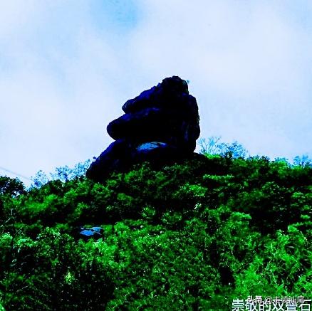 海丰公平西坑绿茶,海丰西坑茶叶