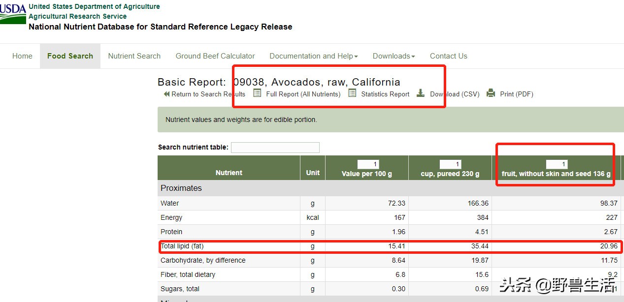 牛油果是真有营养还是虚假宣传,被捧上天却毫无作用的食物
